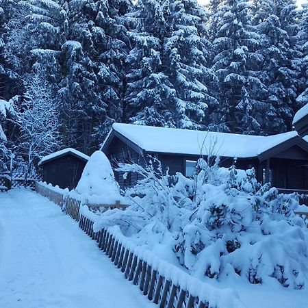 Waldsee-Ferienhaus-Mit-Kamin-W-Lan Clausthal-Zellerfeld Ngoại thất bức ảnh