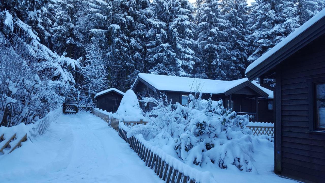Waldsee-Ferienhaus-Mit-Kamin-W-Lan Clausthal-Zellerfeld Ngoại thất bức ảnh
