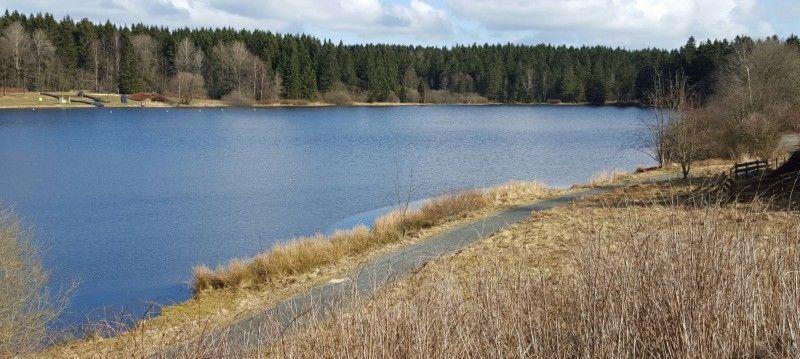 Waldsee-Ferienhaus-Mit-Kamin-W-Lan Clausthal-Zellerfeld Ngoại thất bức ảnh